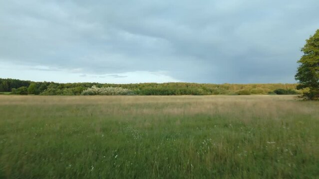 Flight over an old wooden fence. Along a grassy meadow. At a low altitude. Aerial photography.