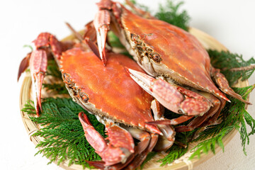 茹でたてのワタリガニ