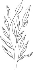 forest fern eucalyptus art foliage natural
leaves herbs inline style. Decorative beauty, elegant illustration 