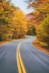 Winding road curves through scenic autumn foliage trees in New England.