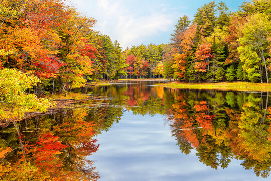 Autumn foliage reflections in calm pond water in New England