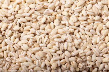 発芽玄米　(秋田県産　あきたこまち)