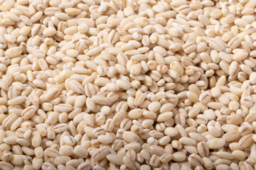 発芽玄米　(秋田県産　あきたこまち)