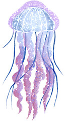 Jellyfish watercolor,marine life with transparent background