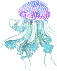 Jellyfish watercolor,marine life with transparent background