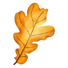 Fototapeta premium Autumn Watercolor oak leaves, Autumn or Fall Animal, Watercolor illustration