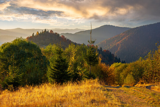 mountainous countryside in autumn. forest in colorful foliage on the hills. mountain range in the distance beneath a sky with beautiful cloudscape. wonderful nature landscape in afternoon light