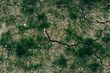 Surface crack of soil in arid area
