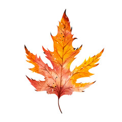 Fototapeta premium Watercolor autumn maple leaves illustration