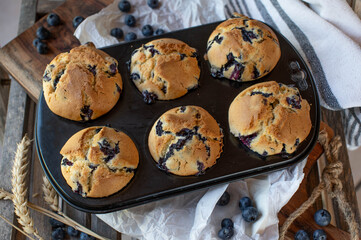 Bluberry muffins in a muffin tin. Fresh and homemade baked
