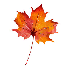 Watercolor autumn maple leaves illustration
