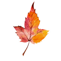 Fototapeta na wymiar Watercolor autumn maple leaves illustration