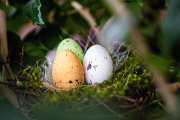 bird  nest with colored Easter eggs on branches of green trees, easter decoration, selective focus