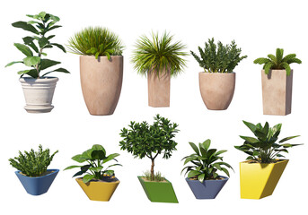 Plants in pots for decoration on a transparent background