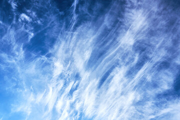 Cirrus clouds on a sunny summer day. Blue, blue sky with rugged, cirrus clouds. Natural manifestations