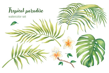 Naklejka premium Watercolor set of tropical leaves, branches and flowers isolated on a white background. Illustration for kitchen design, market, textiles, jewelry, postcards.