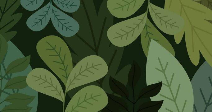 dark green leaf background transition animation fills the screen