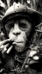 Vintage Fotografie eines Affen als Soldat in einem dichten Dschungel. Künstlerische abstrakte Fiktion. Affensoldat-Konzept. Perfekt für Handytapeten oder Poster. 3D-Rendering. © designprojects