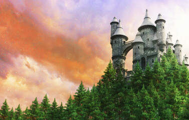 Fototapeta na wymiar castle in the forest