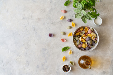 Multi-coloured Italian pasta conchiglie or seashells in bowl, olive oil, spices, herbs. Flatly with copy space. 