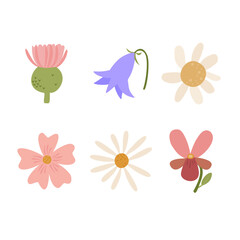 A set of vector inflorescences. Wild wildflowers, cartoon flowers. Chamomile, violet and bellflower