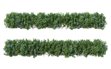 Plants and shrubs with flowers on a transparent background.