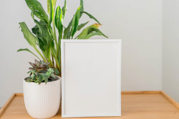 Mock up photo frame, elegant accessories and beautiful plants in different pots.