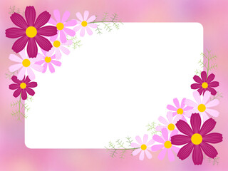 コスモスのピンクのフレーム