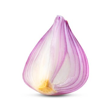 Red sliced onion on transparency