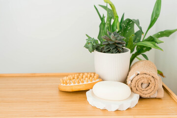 Green plants in bathroom. Eco-friendly life. Zero waste