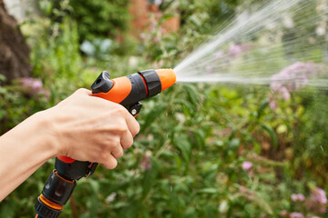 Naklejka premium woman watering plant in garden in summer