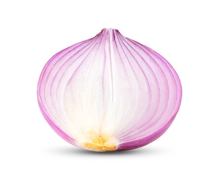 onion on transparency