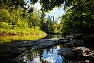 Fototapeta na wymiar Scenic river in the forest summer
