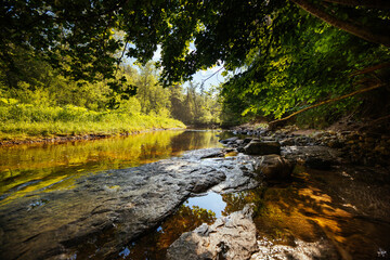 Obraz premium Scenic river in the forest