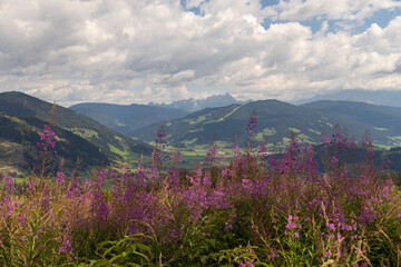 Ausblick vom Wagrainis-Berg in Wagrain