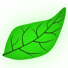 green leaf element