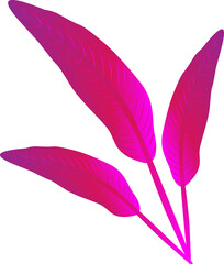 Leaf flower plant elegance ornament decoration background graphic design illustration png