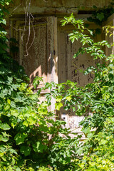 Wooden overgrown door of an old, dilapidated, abandoned manor house