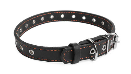 Black leather dog collar isolated on white