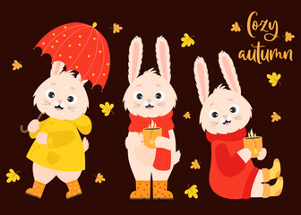 Set autumn rabbits. Cute bunny in raincoat and rubber boots under an umbrella, hare in knitted clothes with cup of hot tea and falling autumn leaves. Vector Rabbit character for fall design and decor.