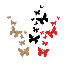 butterfly on white background