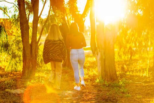 Two Teenage Girls Walking Away Into Bush In Golden Light