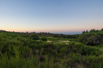 Fototapeta na wymiar Paysage au lever du soleil sur les landes de bruyères et de fougères du Mont Caroux