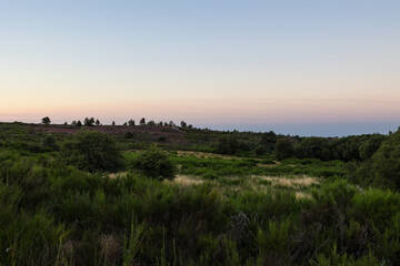 Paysage au lever du soleil sur les landes de bruyères et de fougères du Mont Caroux