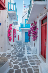 Street in the Village of Mykonos