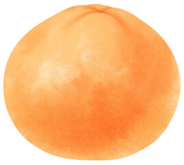 Orange Fruit Watercolor illustration