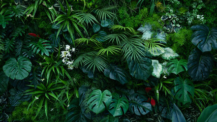 Panele Szklane  Creative nature wall background, tropical leaf banner or floral jungle pattern concept.