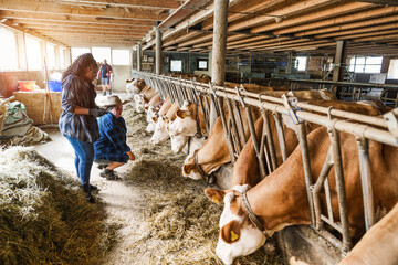Young multiracial farmer people working together inside cowshed while using digital tablet - Focus...