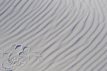 beach sand and footprints