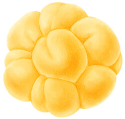 Cloudberry Fruit Watercolor illustration